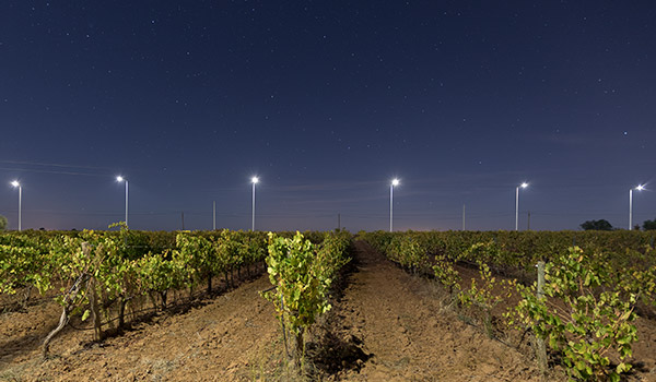 eccos street dark sky alqueva, iluminação pública inteligente